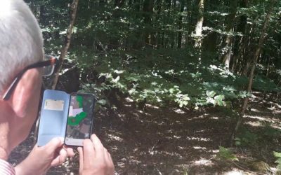 La mobilité informatique en forêt