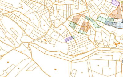 Le cadastre : une base pour la gestion forestière