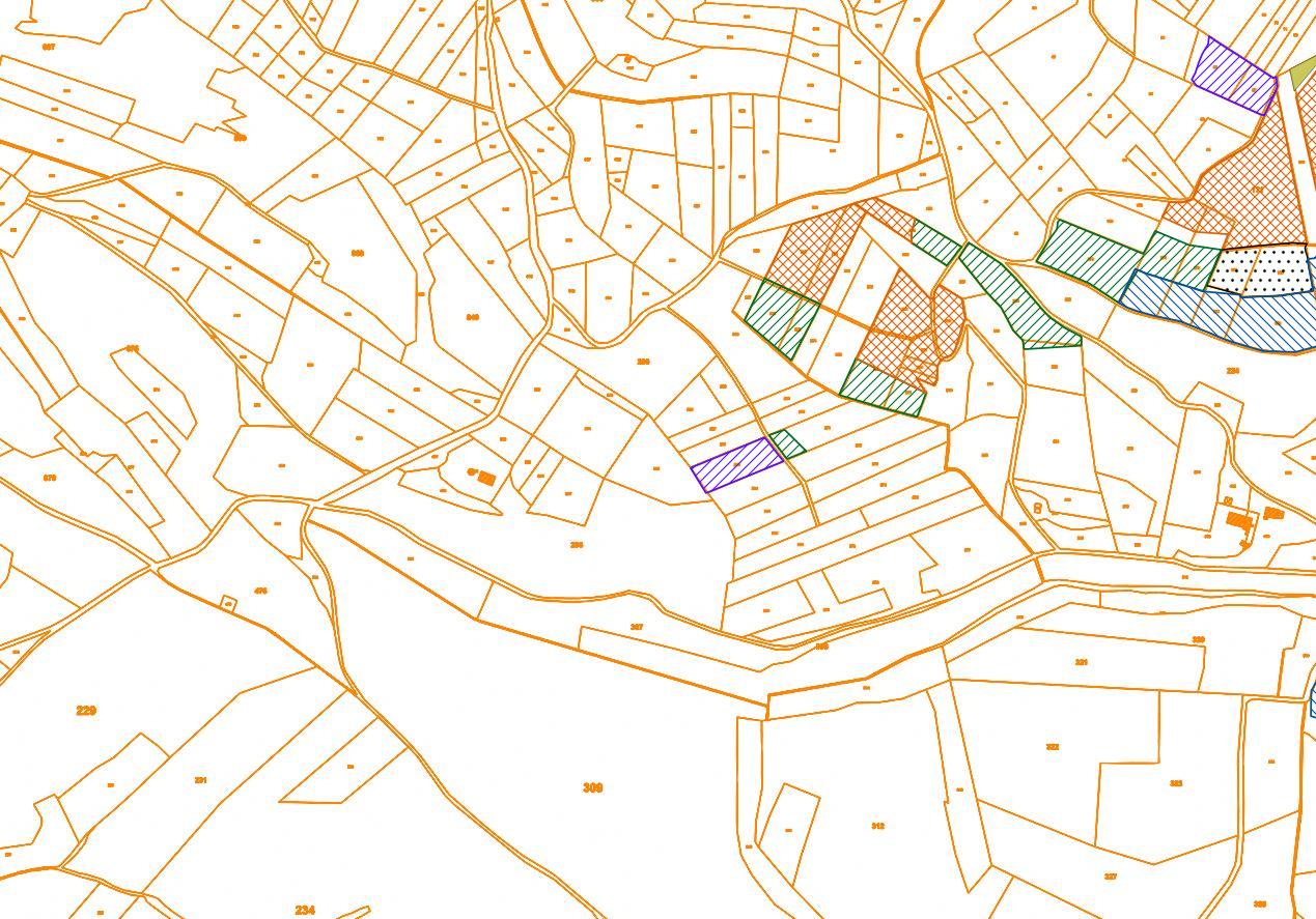 Le cadastre une base pour la gestion forestière Sylvamap