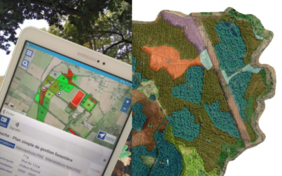 Le SIG au service des forestiers (2/3) : La géomatique en forêt