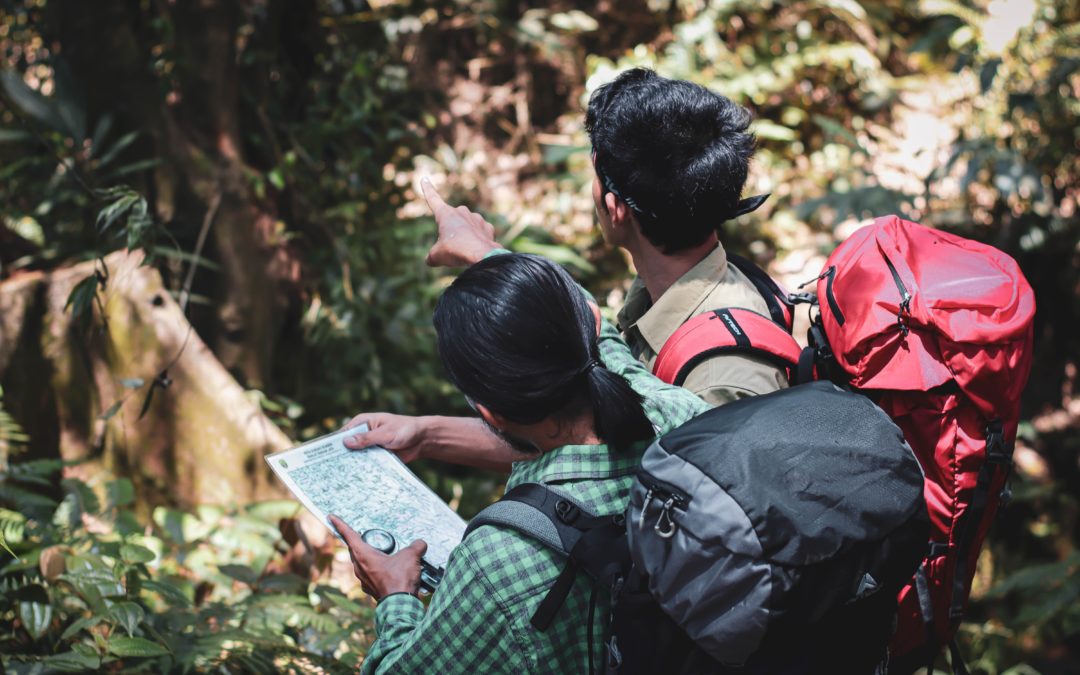 Quels fonds de plan pour se repérer en forêt ?